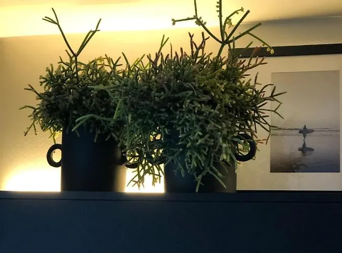 Apartmán The Matter Meaningful Laura