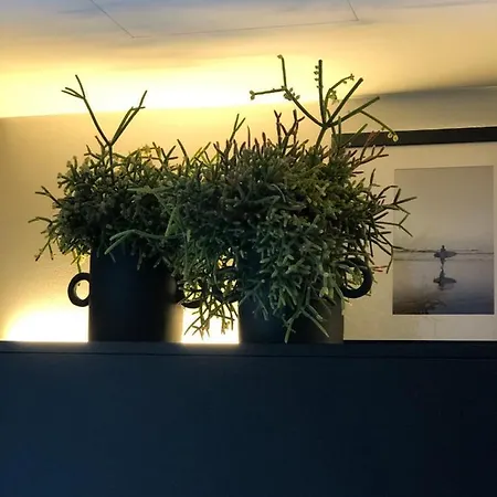 Appartement The Matter Meaningful Laura