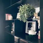 The Matter Meaningful Laura Appartement
