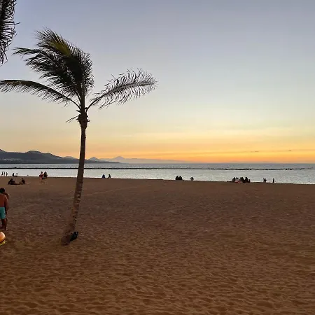 Apartment The Matter Meaningful Laura